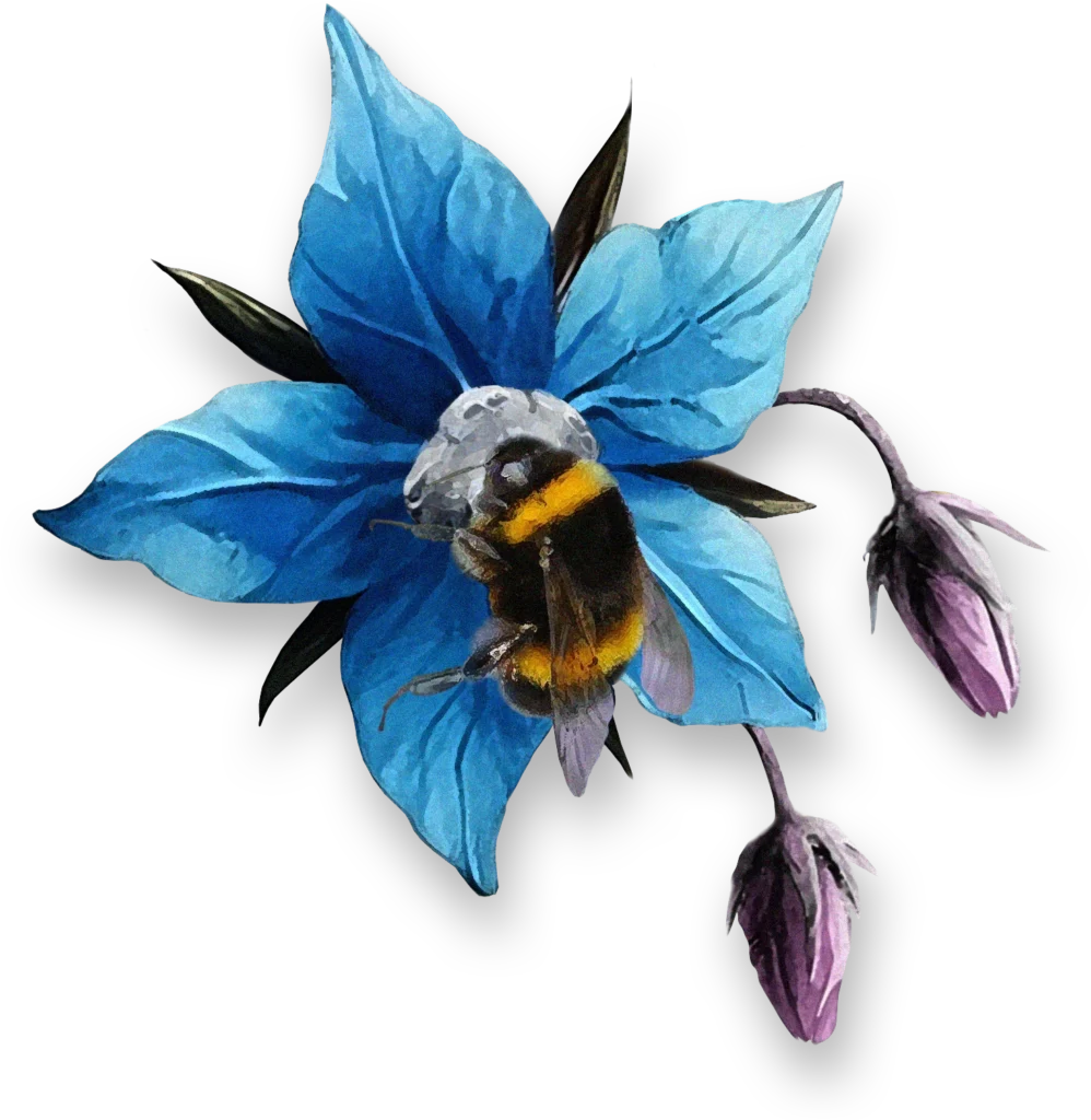 Boreal Gardens Bee and Flower logo imagery (no text)