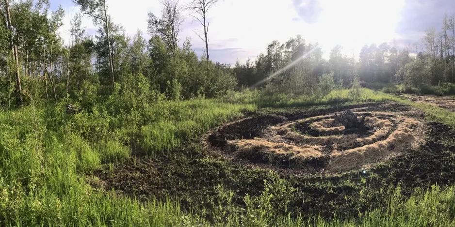 Boreal Garden Panoramic photo of some of the farming area